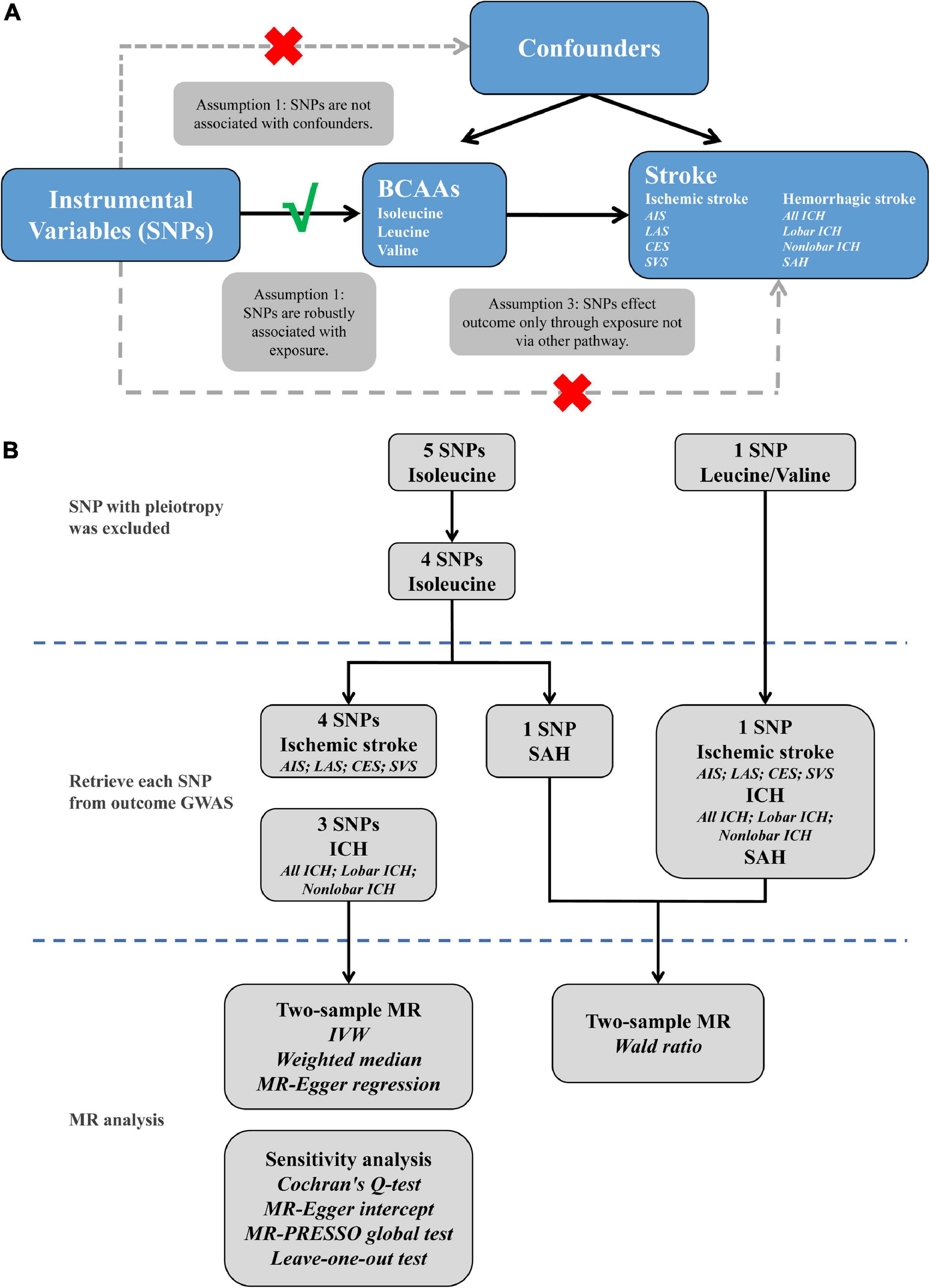 Branched-chain amino acids and risk of stroke: A Mendelian randomization study